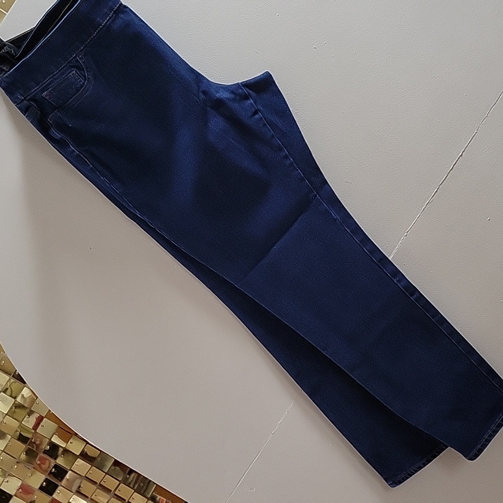 Chaps Denim Skinny Jeans Women's Plus Size XL Blue 💙 High Rise Dark Wash